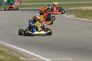 DSC_0019 (3)